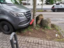 Mangelnder Baumschutz