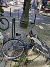 Bild zu gemeldetem Anliegen vom *2025-08-07 12:17:26