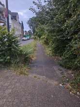 Bild zu gemeldetem Anliegen vom *2025-08-22 03:27:59