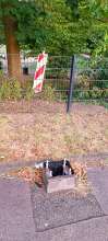 Bild zu gemeldetem Anliegen vom *2025-08-26 10:19:00