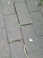Bild zu gemeldetem Anliegen vom *2025-08-14 15:35:12