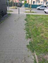 Bild zu gemeldetem Anliegen vom *2025-08-08 09:30:49