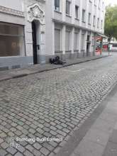 Bild zu gemeldetem Anliegen vom *2025-08-08 07:25:23