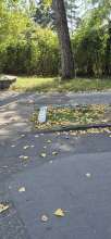 Bild zu gemeldetem Anliegen vom *2025-08-12 12:31:30