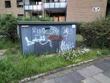 Bild zu gemeldetem Anliegen vom *2025-08-04 20:45:04