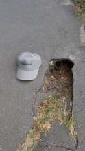 Schlagloch im Straßenbelag - Bild vom *2025-08-07 12:53:05