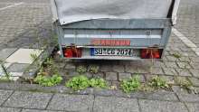 Bild zu gemeldetem Anliegen vom *2025-08-07 18:27:48