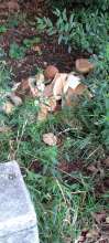 Bild zu gemeldetem Anliegen vom *2025-08-05 12:31:55