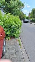 Bild zu gemeldetem Anliegen vom *2025-08-05 15:30:37