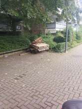 Bild zu gemeldetem Anliegen vom *2025-08-07 18:27:48