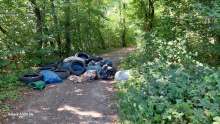 Bild zu gemeldetem Anliegen vom *2025-08-07 09:28:19