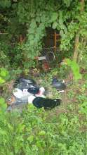 Bild zu gemeldetem Anliegen vom *2025-08-08 06:32:03