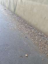 Bild zu gemeldetem Anliegen vom *2025-08-11 14:58:31