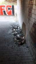 Bild zu gemeldetem Anliegen vom *2025-08-12 15:30:41