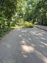 Bild zu gemeldetem Anliegen vom *2025-08-12 15:30:41