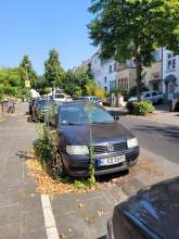 Bild zu gemeldetem Anliegen vom *2025-08-15 12:31:18