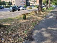 Bild zu gemeldetem Anliegen vom *2025-08-20 09:27:15