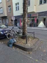 Bild zu gemeldetem Anliegen vom *2025-08-26 18:32:03