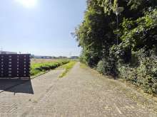 Bild zu gemeldetem Anliegen vom *2025-08-10 09:36:36