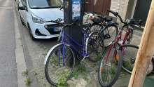 Bild zu gemeldetem Anliegen vom *2025-08-14 09:28:23