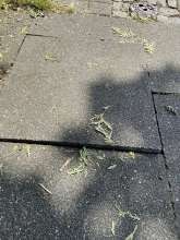Bild zu gemeldetem Anliegen vom *2025-08-13 12:34:15