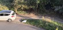 Bild zu gemeldetem Anliegen vom *2025-08-19 18:28:05