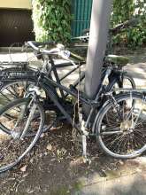 Bild zu gemeldetem Anliegen vom *2025-08-10 12:31:46