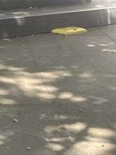 Bild zu gemeldetem Anliegen vom *2025-08-10 13:50:22