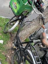Bild zu gemeldetem Anliegen vom *2025-08-20 11:26:32