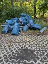Bild zu gemeldetem Anliegen vom *2025-08-06 12:26:27