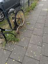 Bild zu gemeldetem Anliegen vom *2025-08-04 21:49:21