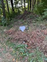 Bild zu gemeldetem Anliegen vom *2025-08-27 13:15:55