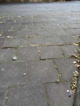 Bild zu gemeldetem Anliegen vom *2025-08-25 06:28:56