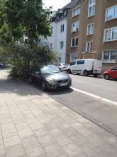 Bild zu gemeldetem Anliegen vom *2025-08-07 12:27:29