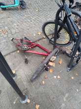 Bild zu gemeldetem Anliegen vom *2025-08-20 08:51:23