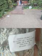 Bild zu gemeldetem Anliegen vom *2025-08-21 12:31:38