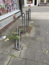 Bild zu gemeldetem Anliegen vom *2025-08-07 09:28:19