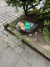 Bild zu gemeldetem Anliegen vom *2025-08-08 09:30:49