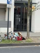 Bild zu gemeldetem Anliegen vom *2025-08-12 06:56:58
