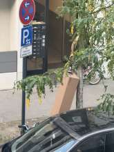 Bild zu gemeldetem Anliegen vom *2025-08-14 08:19:25