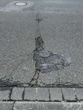 Bild zu gemeldetem Anliegen vom *2025-08-05 12:31:55
