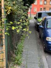 Bild zu gemeldetem Anliegen vom *2025-08-06 06:35:35