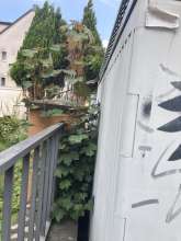 Bild zu gemeldetem Anliegen vom *2025-08-05 18:30:06