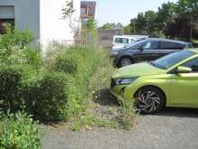 Bild zu gemeldetem Anliegen vom *2025-08-13 09:31:33
