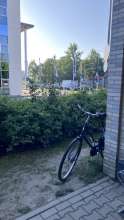Bild zu gemeldetem Anliegen vom *2025-08-12 06:31:11