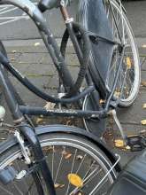 Bild zu gemeldetem Anliegen vom *2025-08-29 08:39:32