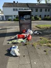 Bild zu gemeldetem Anliegen vom *2025-08-13 21:28:05