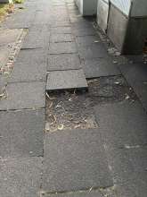 Bild zu gemeldetem Anliegen vom *2025-08-12 21:28:56