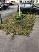 Bild zu gemeldetem Anliegen vom *2025-08-05 09:27:56
