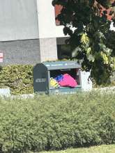 Bild zu gemeldetem Anliegen vom *2025-08-18 14:54:48